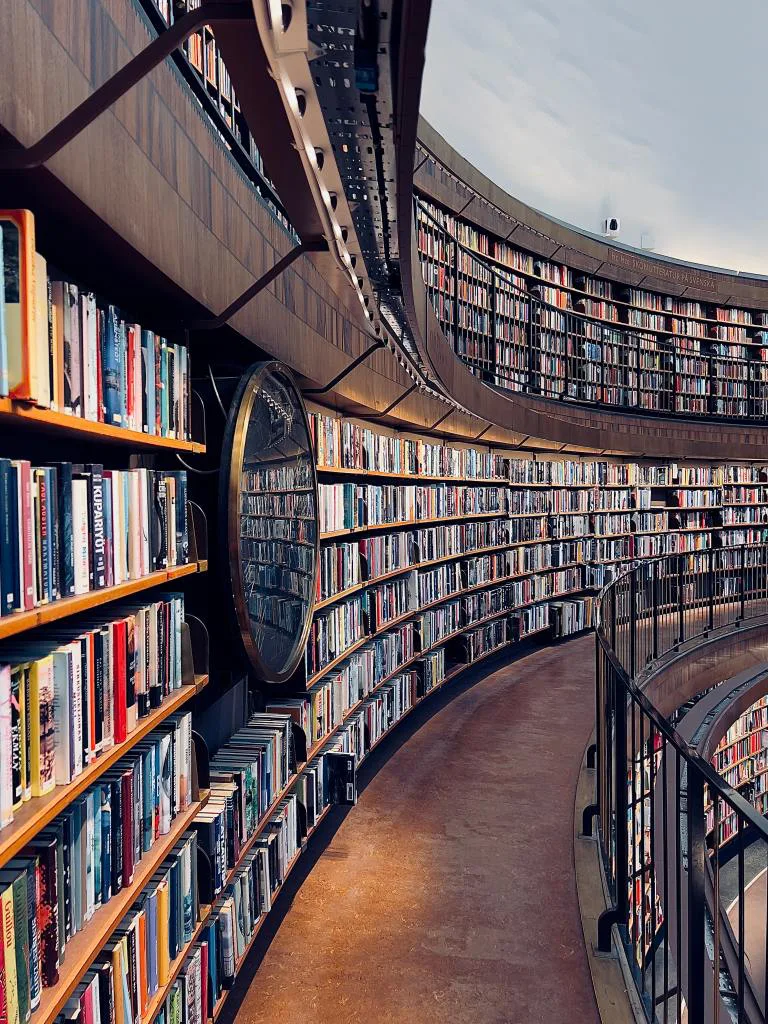 Library interior design with open shelves system